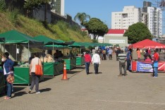 Prefeitura autoriza venda de alimentos prontos na Feira Livre de Itabira